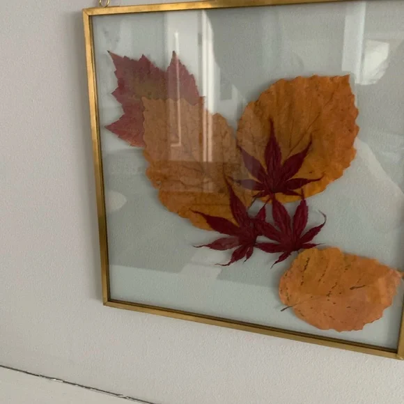 Pressed Fall Leaves Art - Picture 4 of 6